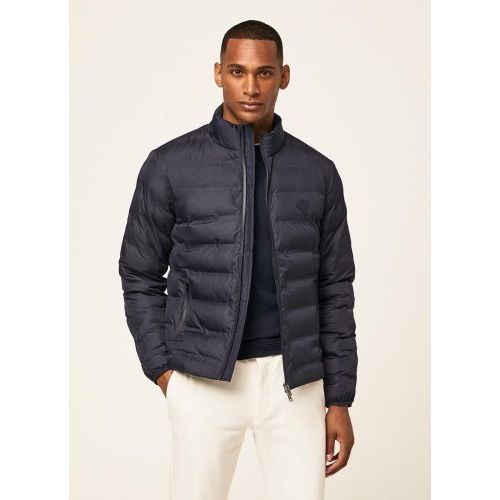 Hackett  Bruin / Roos