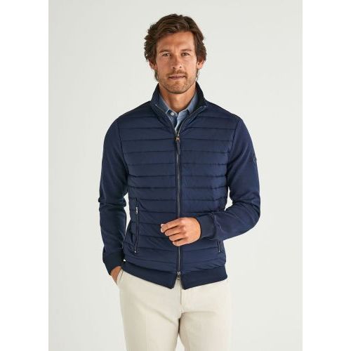 Hackett  Bruin / Roos