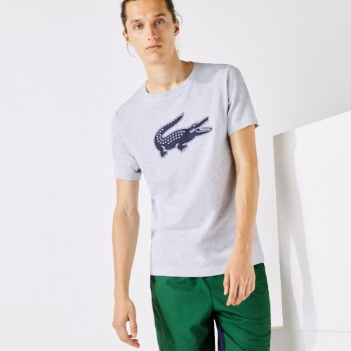 Lacoste  Grijs