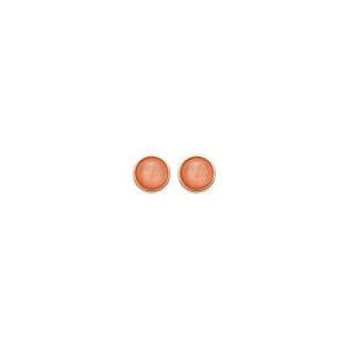 Les Cordes  Oranje