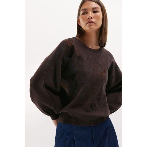 Senso  Bruin