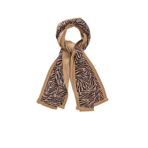 Titto  Zwart / Camel