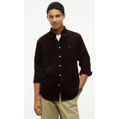 Tommy Hilfiger  Bruin