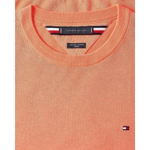 Tommy Hilfiger  Coral heren (TOMMY HILFIGER PULL - MW0MW 15431  S02) - Di Classe (Sluis)