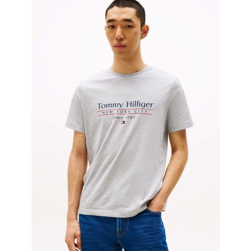 Tommy Hilfiger  Grijs