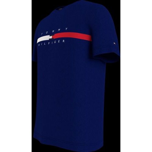 Tommy Hilfiger  Bruin / Roos heren (TOMMY HILFIGER T-SHIRT - MW0MW 16572 DY4) - Di Classe (Sluis)