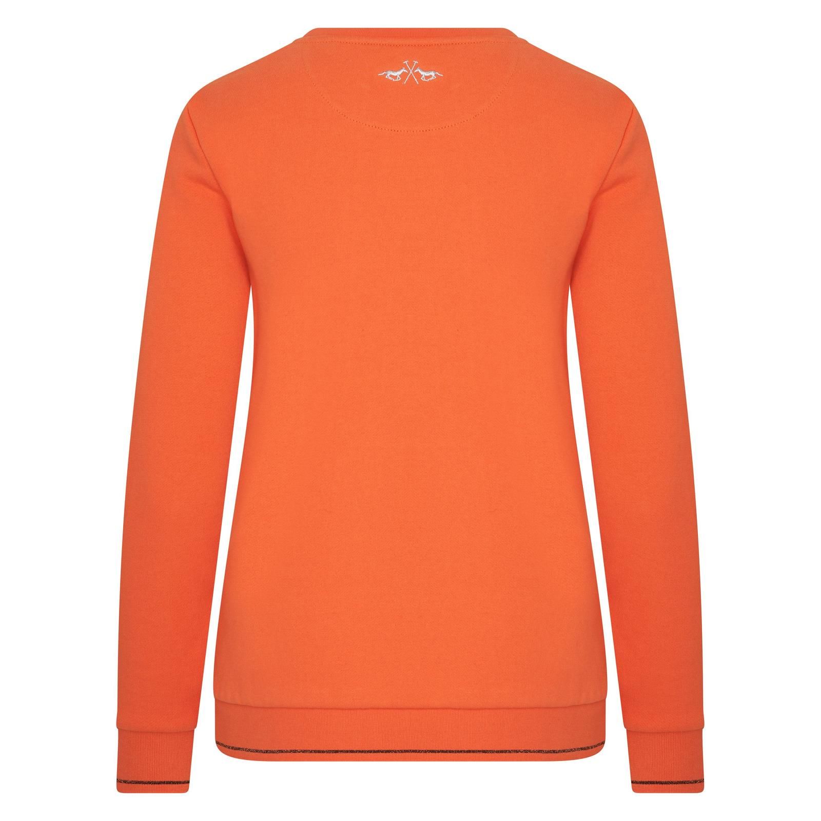 hv polo sweater